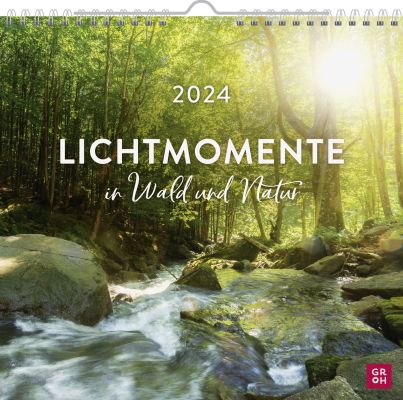 Lichtmomente in Wald und Natur 2024 - Wandkalender