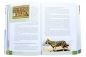 Preview: Das illustrierte Handbuch zur Bibel