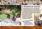 Preview: Kerzenteller - natur