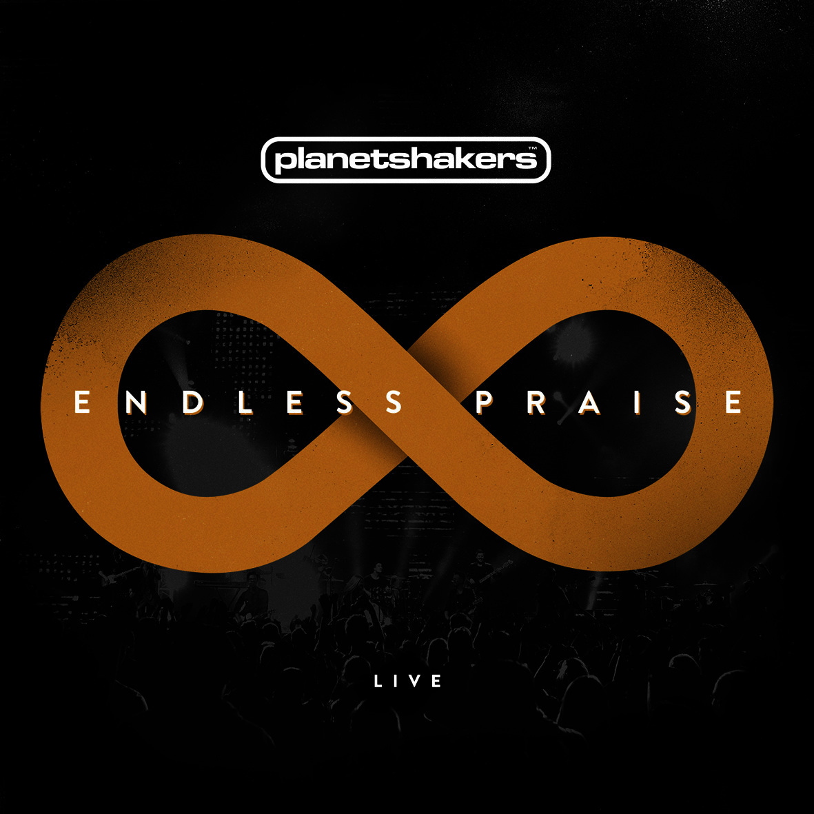 Endless Praise (Live)