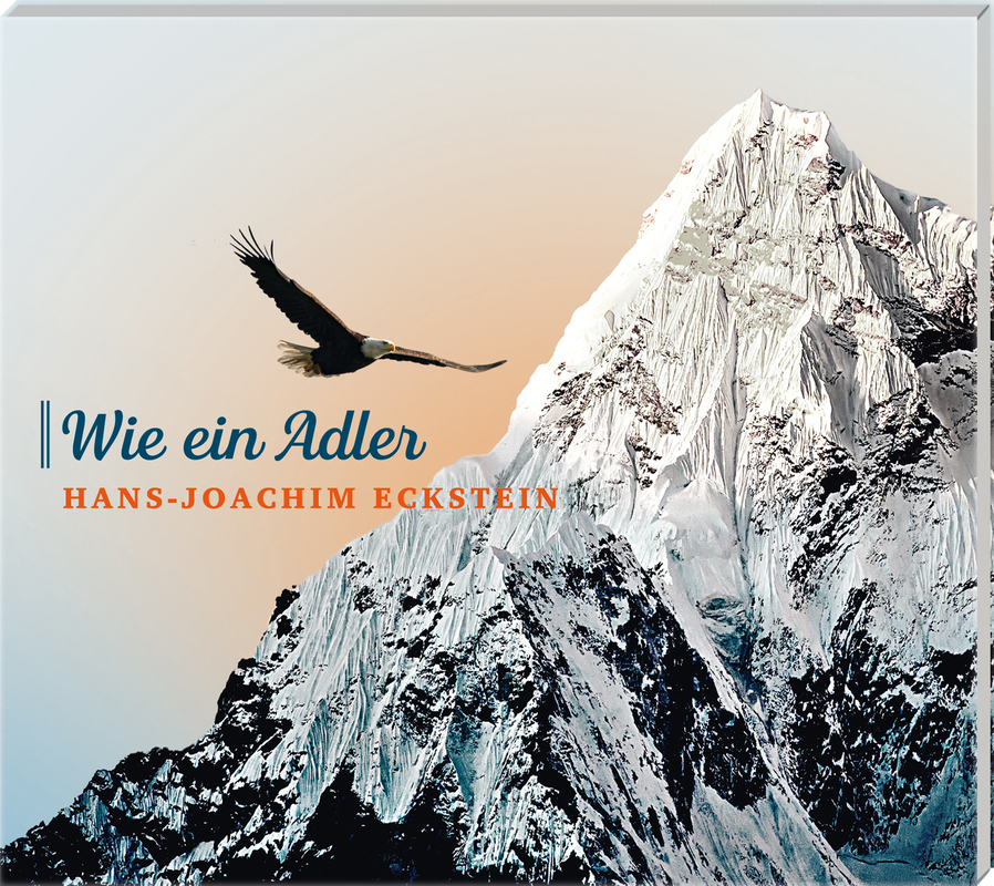 Wie ein Adler