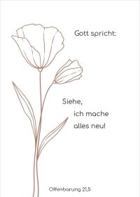 Jahreslosung 2026 - Postkarten 10 Stk.