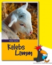 Kalebs Lamm