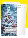 Tannenbäume, so viel ihr wollt|Eine Geschichte zu Weihnachten