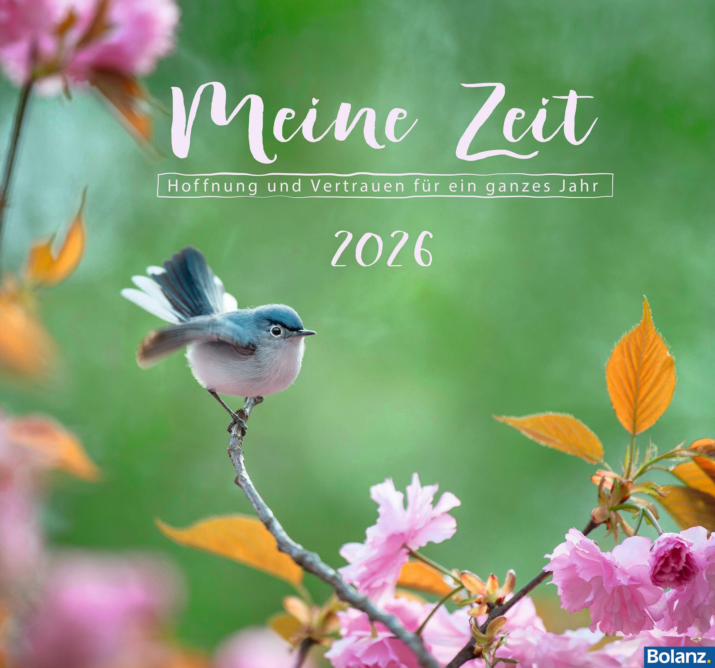 Meine Zeit 2026 - Wandkalender
