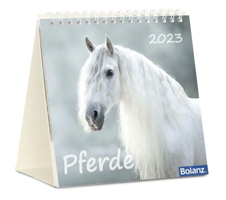 Pferde 2023 - Tischkalender