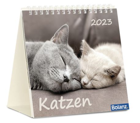 Katzen 2023 - Tischkalender