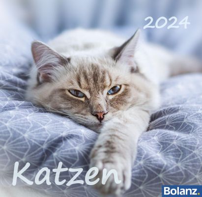 Katzen 2024 Tischkalender