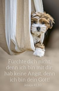 Jahreslosung 2027 - Kalenderkärtchen Hund