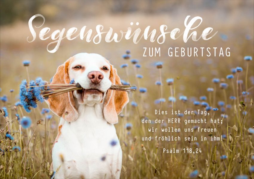 Faltkarte Segenswünsche zum Geburtstag - Hund