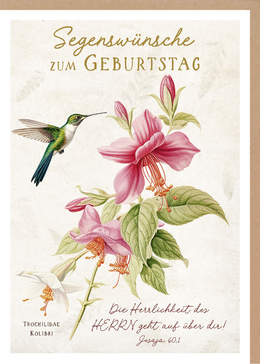 Faltkarte farbenfroher Kolibri 