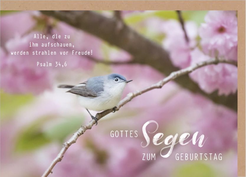 Faltkarte Gottes Segen zum Geburtstag - Vogel