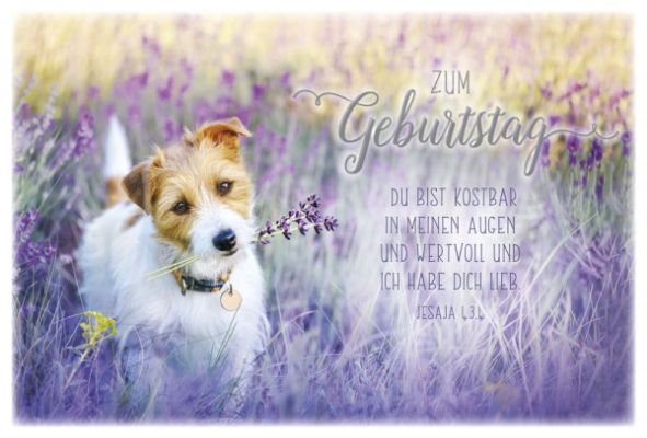 Faltkarte Zum Geburtstag - Hund