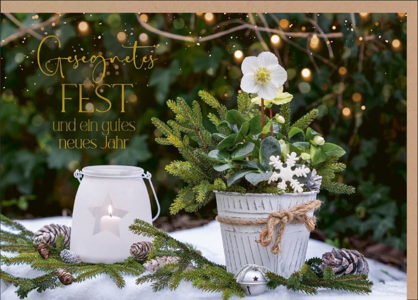 Faltkarte Gesegnetes Fest - Christrose