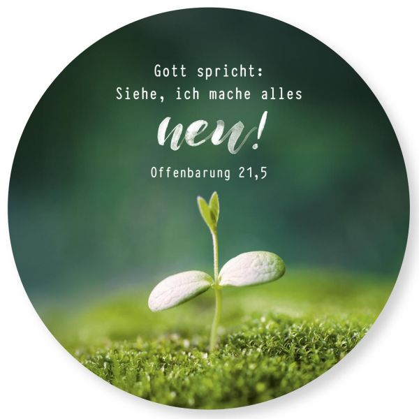 Jahreslosung 2026 - Wandschmuckbild Pflanze 25cm