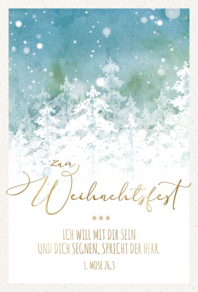 Postkartenserie Weihnachtswald 10 Stk.