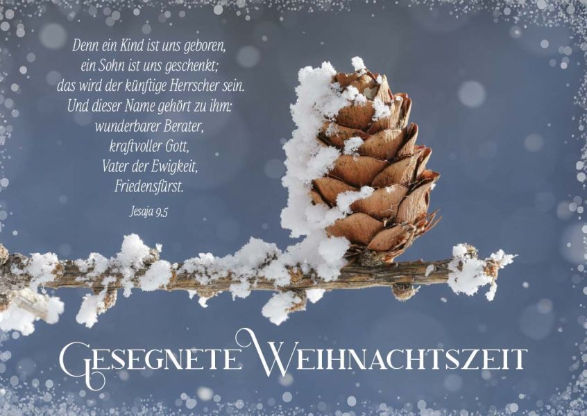 Postkarten Gesegnete Weihnachtszeit - Tannenzapfen 12 Stück