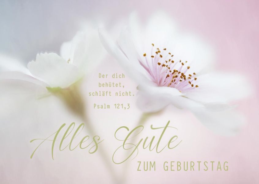 Postkarten Alles Gute zum Geburtstag - Blüte 12 Stück