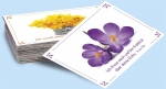 Neujahrslose Blumen
