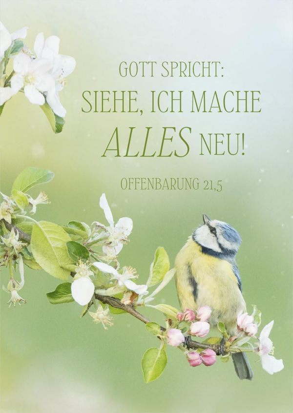 Jahreslosung 2026 - Poster A4 Vogel