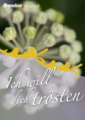 Ich will dich trösten - 10er Set