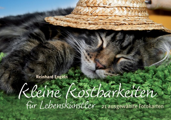 Kleine Kostbarkeiten für Lebenskünstler - Postkartenbuch