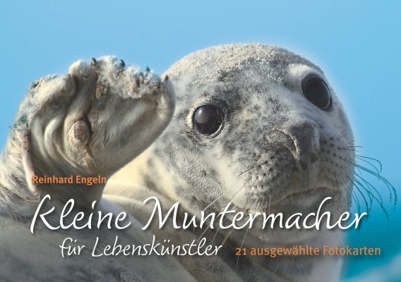 Kleine Muntermacher für Lebenskünstler - Postkartenbuch