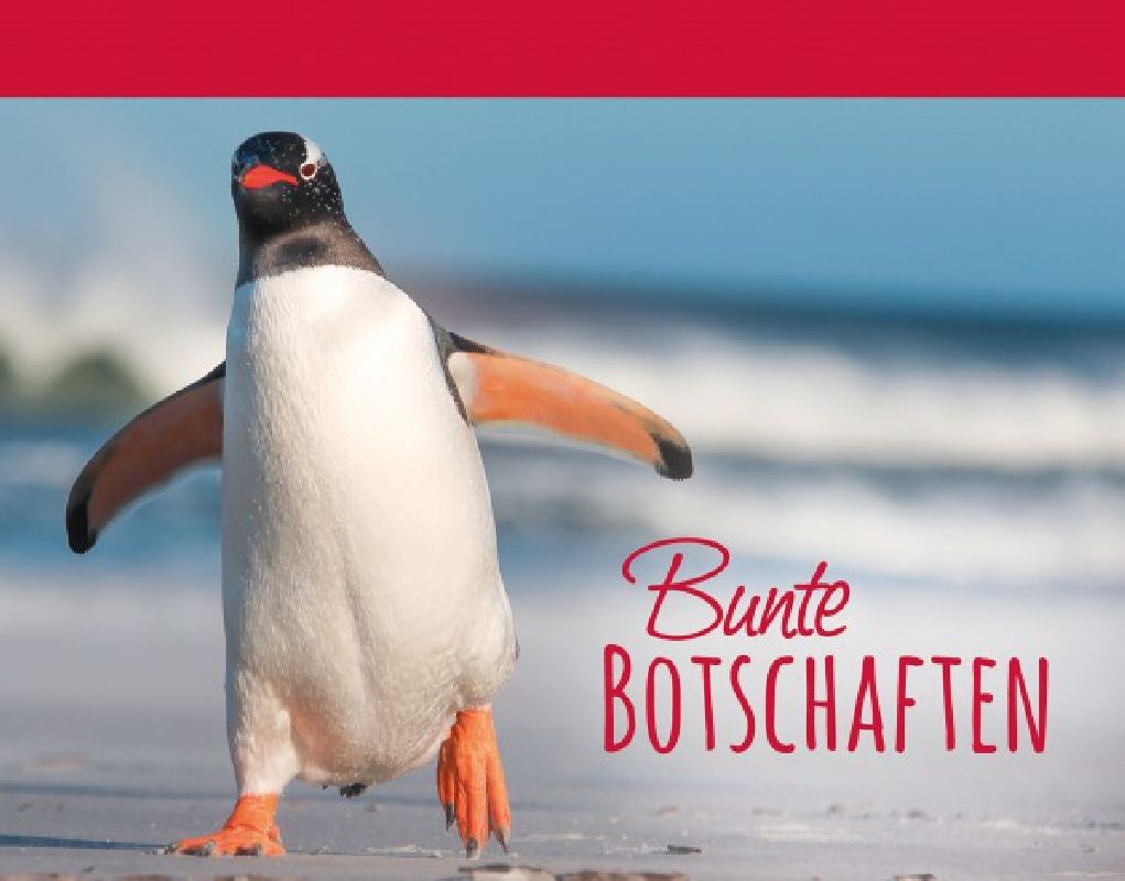 Bunte Botschaften 4 - Pinguin Kartenbuch