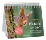 Wo tanzt der Bär?
