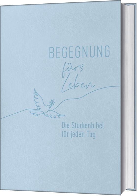 Begegnung fürs Leben, Kunstleder