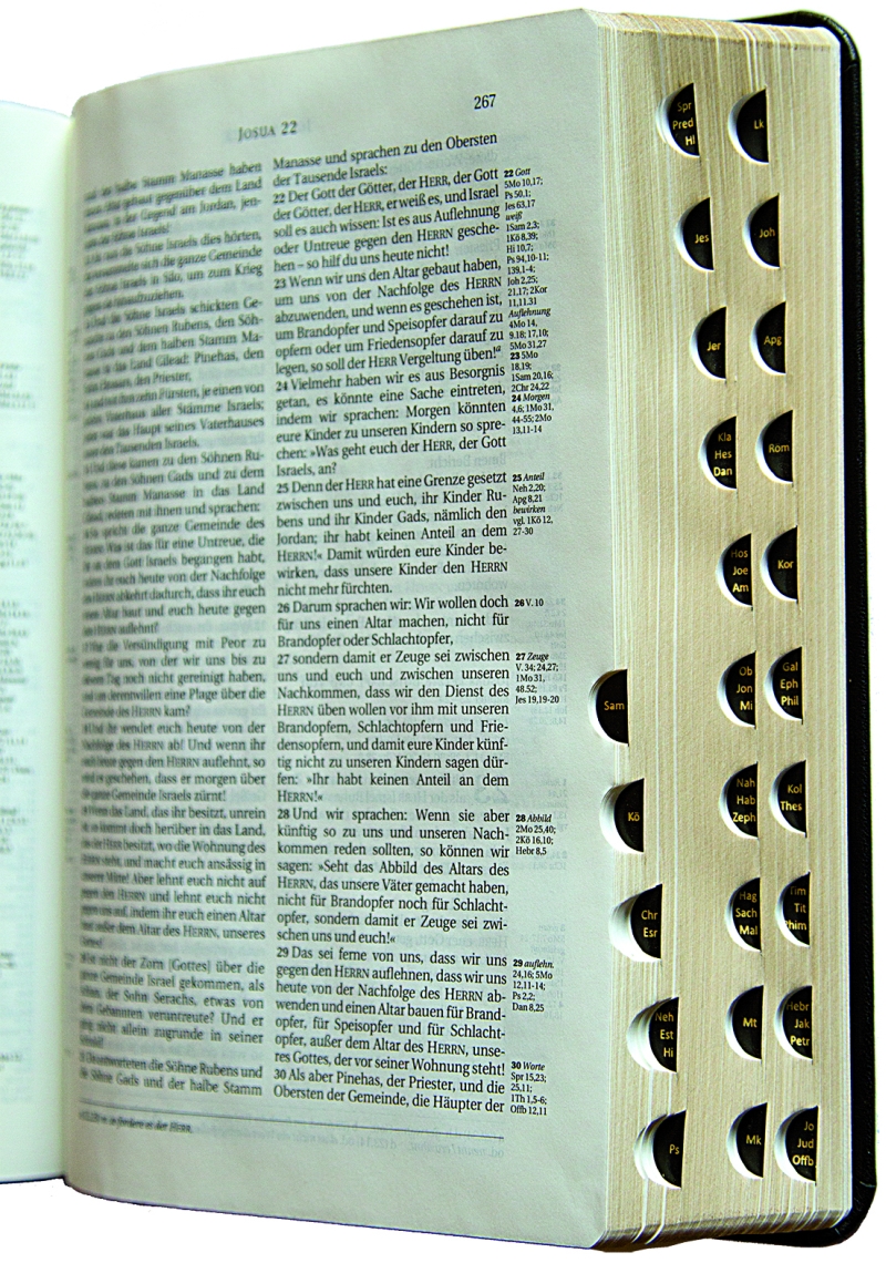 Schlachter 2000 - Taschenausgabe - Goldschnitt, Griffregister