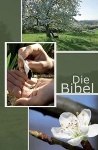 Die Bibel - Taschenbibel Berge