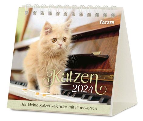 Katzen 2024 - Tischkalender