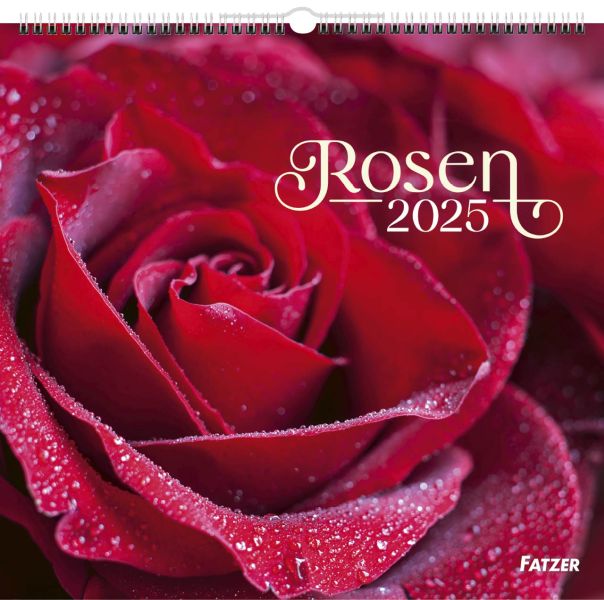 Rosen 2025 - Wandkalender