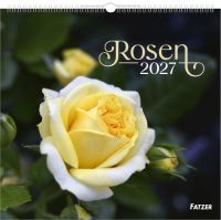 Rosen 2027 - Wandkalender