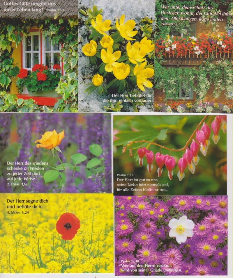 Kleinkärtchenserie Blumen, 50 Stück