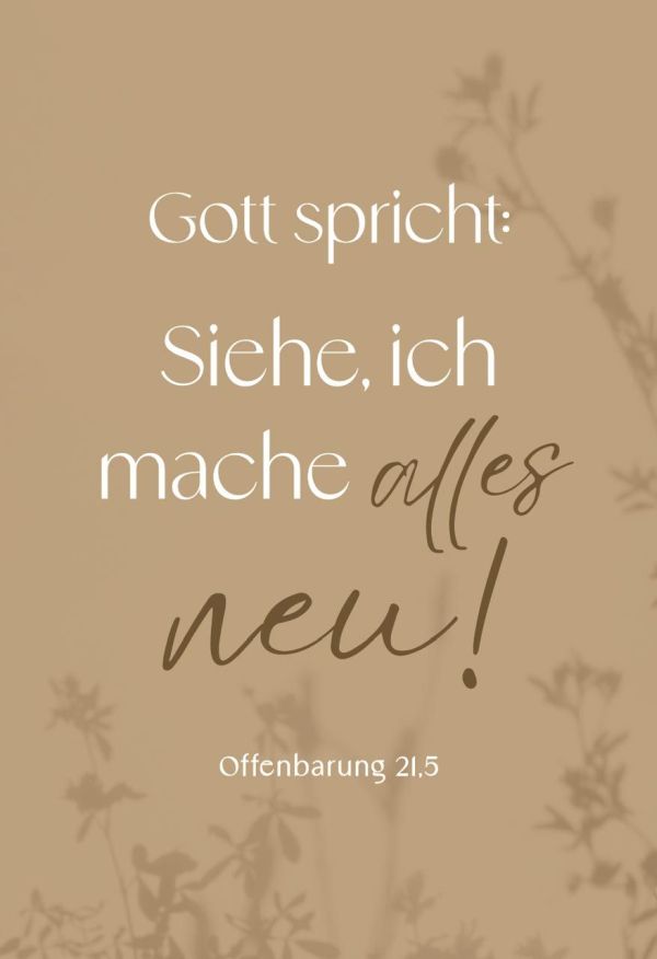 Jahreslosung 2026 - Postkarten Schattenspiel 12 Stk.