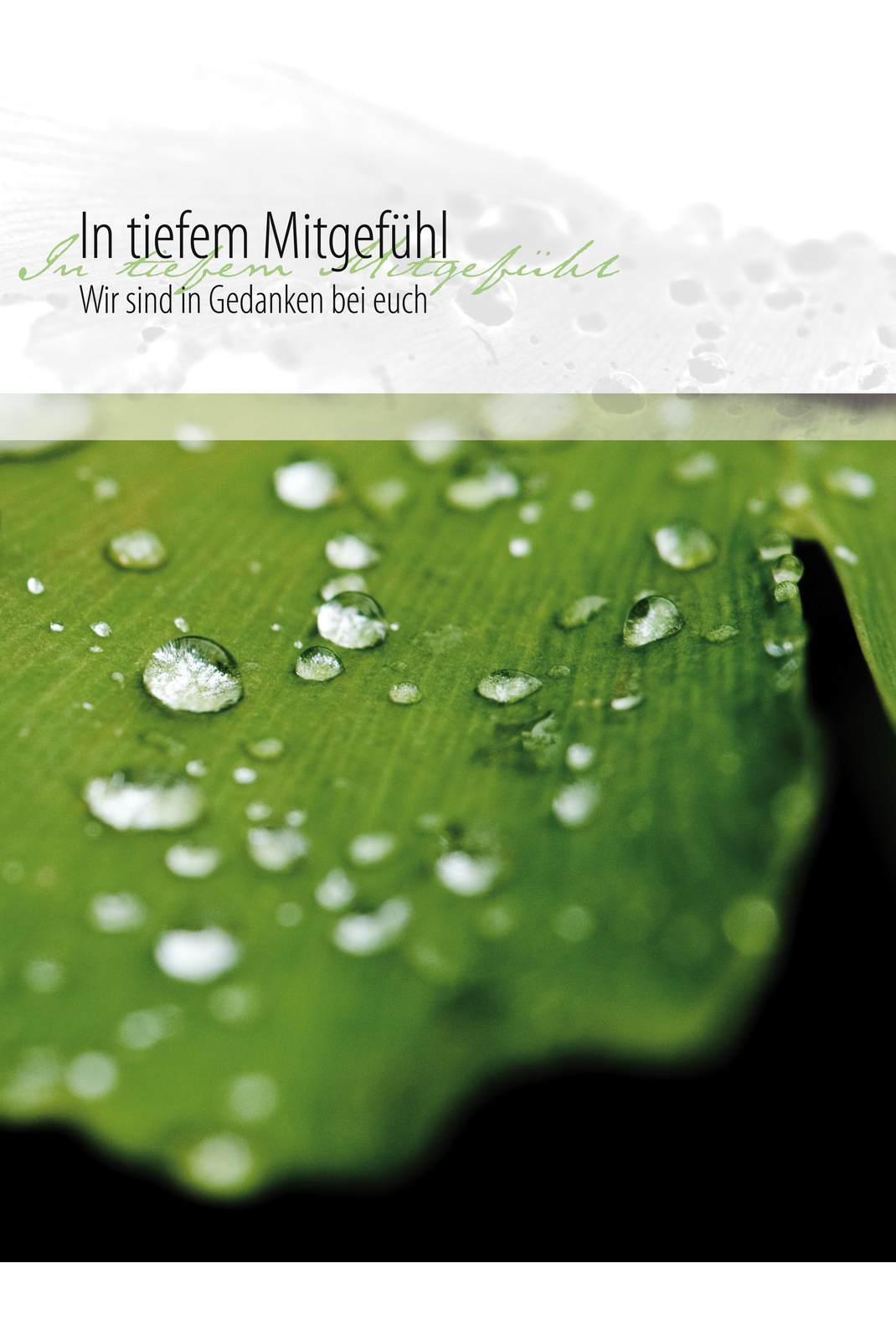 Faltkarte In tiefem Mitgefühl