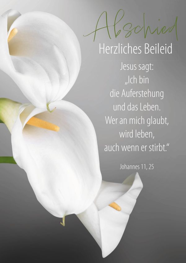 Faltkarte Abschied - Herzliches Beileid