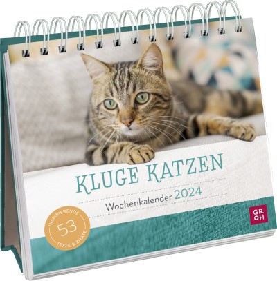 Kluge Katzen 2024 - Wochenkalender