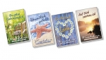 Paket "Mini-Karten-Bücher" 10 Ex.