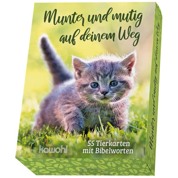 Karten-Box: Munter und mutig auf deinem Weg
