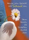 Wende dein Gesicht der Sonne zu (Poster A3)|30 x 42 cm