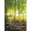Manchmal sehen wir nur Bäume (Poster A3)|30 x 42 cm