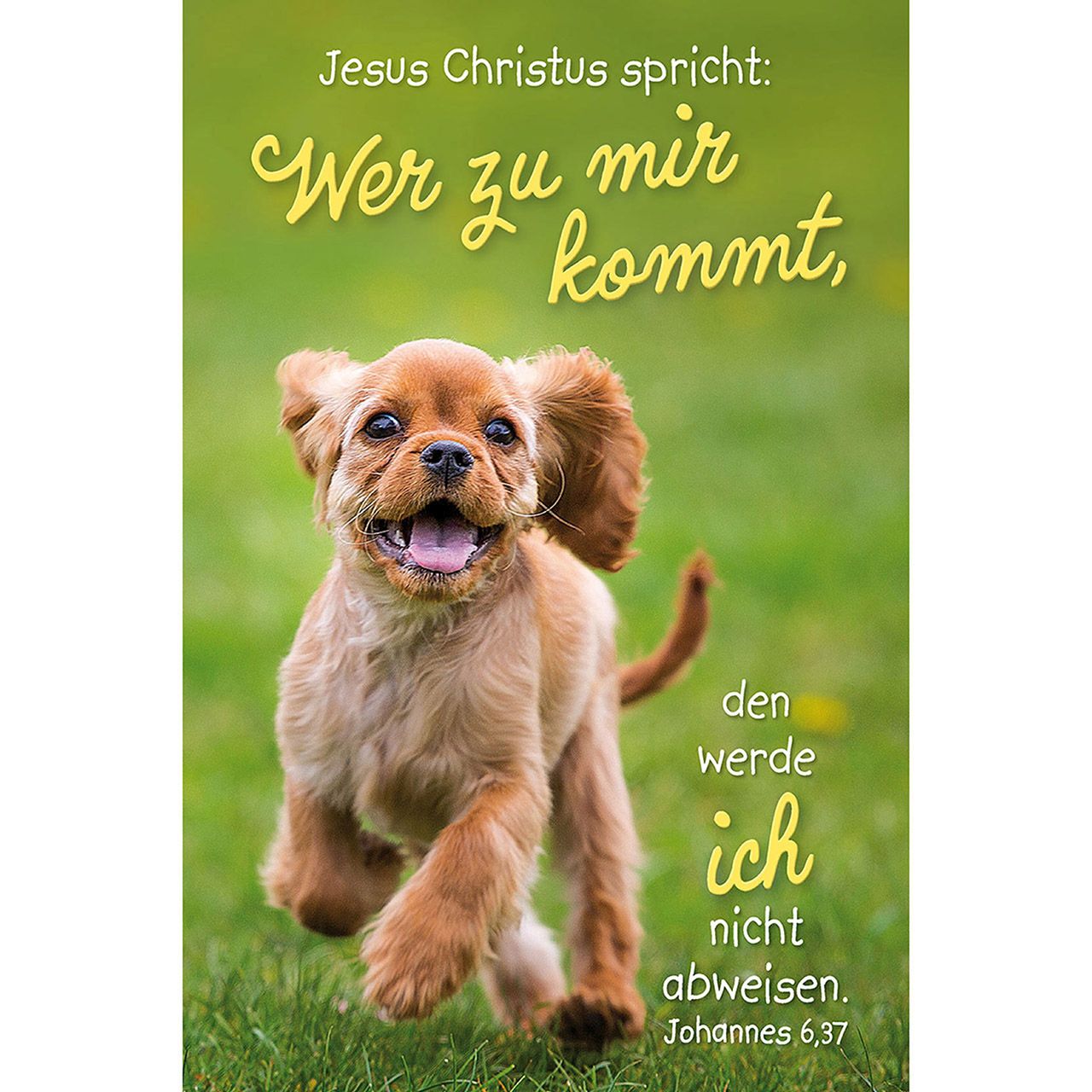 Jahreslosung 2022 - Poster A3 - Hund