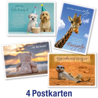 Postkartenserie: InMotion -  gemischte Tiermotive 4 Stk.