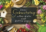 Postkarten: Zum Geburtstag alles Gute, 4 Stück