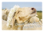 Postkarten: Genieße Dein Leben, 4 Stück