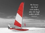 Postkarten: Wir können den Wind nicht ändern, 4 Stück
