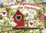 Postkarten: Herzliche Segenswünsche, 4 Stück
